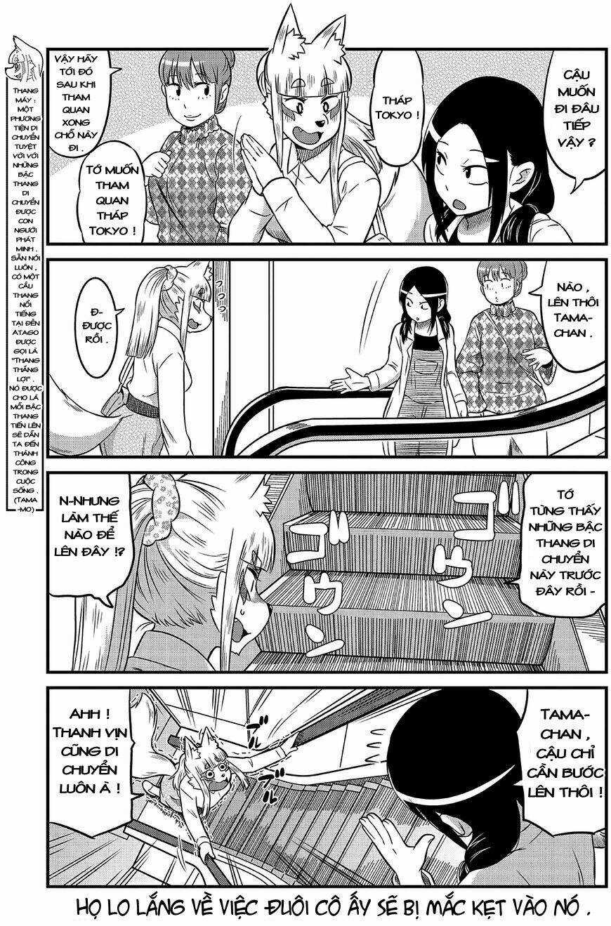 High School Inari Tamamo-Chan Chapter 8 trang 5