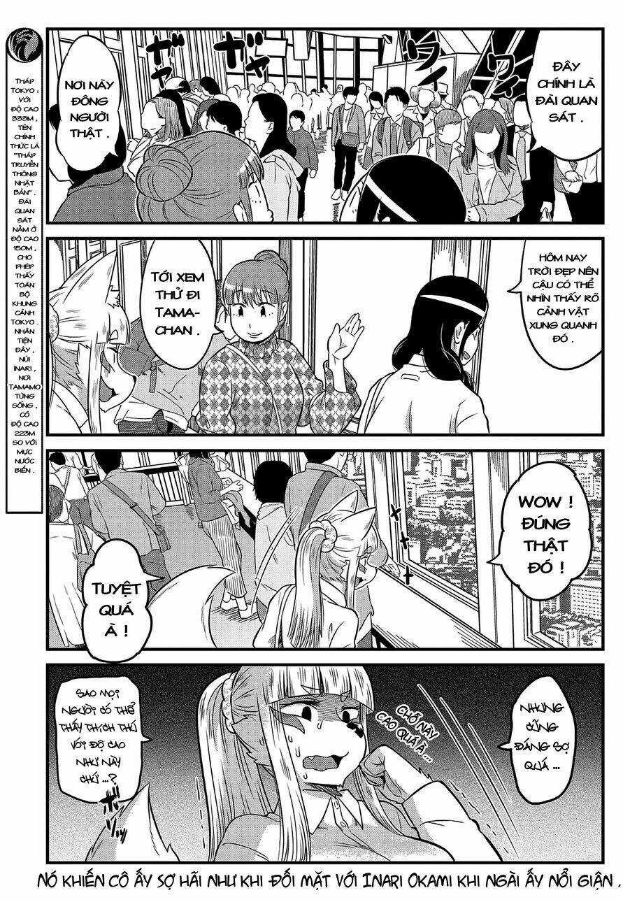 High School Inari Tamamo-Chan Chapter 9 trang 3