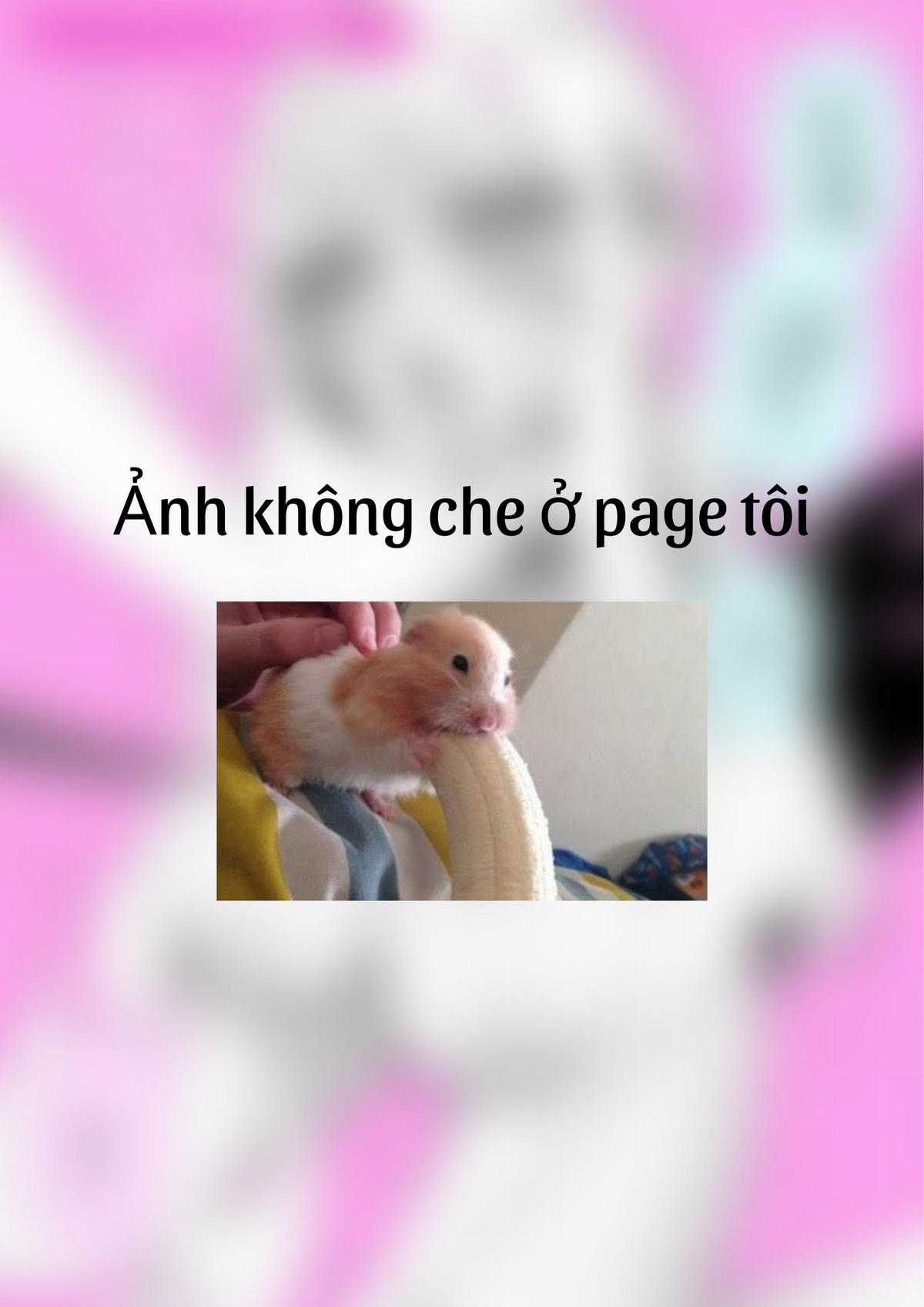 Himekawa-san người rất rất rất thích senpai của mình là cô nàng gyaru máu M Chapter 4 trang 2