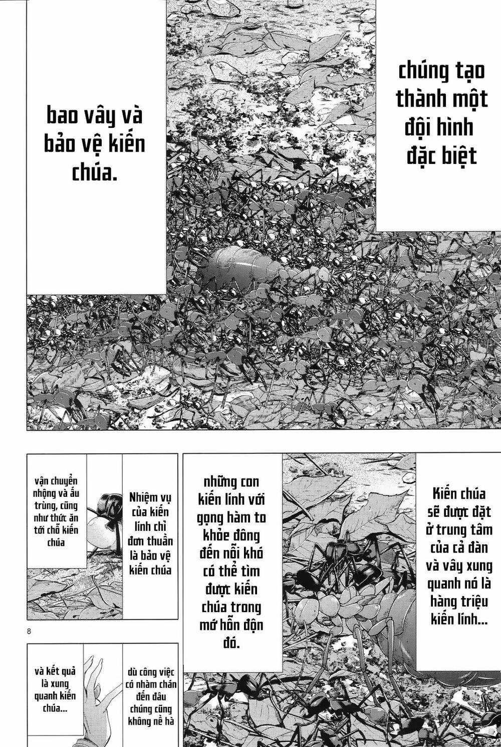 Himenospia Chapter 31 trang 7