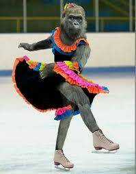 Hình Ảnh Hài Hước New Chapter 1 trang 11