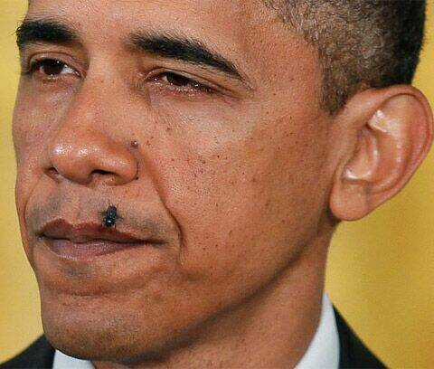 Hình Ảnh Hài Hước New Chapter 1 trang 2