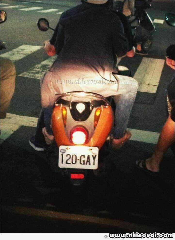 Hình Ảnh Hài Hước New Chapter 11 trang 2