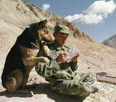 Hình Ảnh Hài Hước New Chapter 12 trang 11