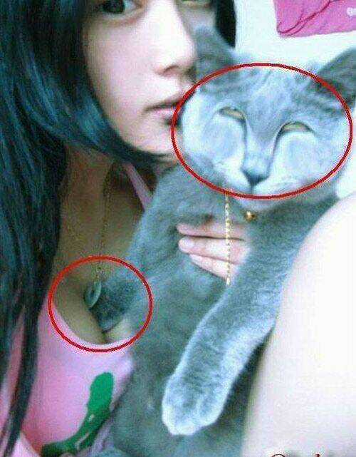 Hình Ảnh Hài Hước New Chapter 12 trang 19