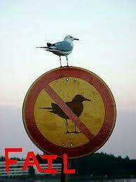 Hình Ảnh Hài Hước New Chapter 12 trang 30