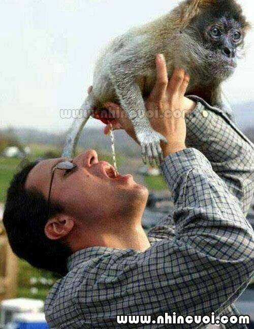 Hình Ảnh Hài Hước New Chapter 14 trang 22