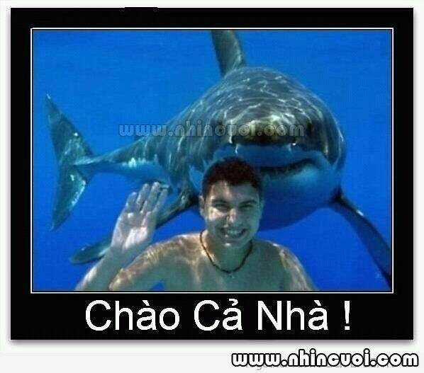 Hình Ảnh Hài Hước New Chapter 15 trang 6