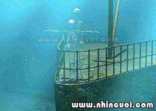 Hình Ảnh Hài Hước New Chapter 15 trang 7