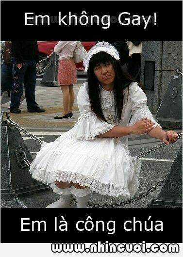 Hình Ảnh Hài Hước New Chapter 17 trang 12