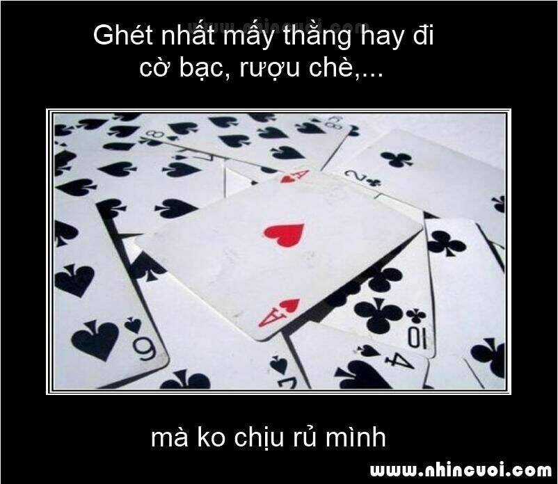 Hình Ảnh Hài Hước New Chapter 17 trang 13