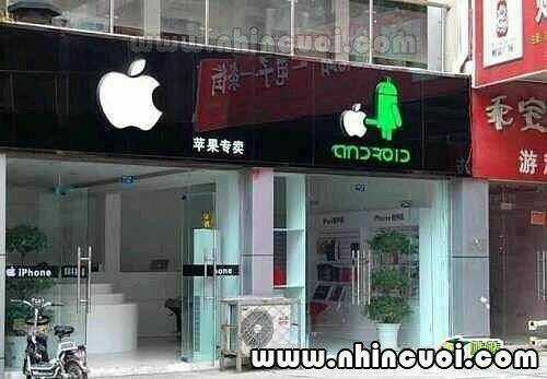 Hình Ảnh Hài Hước New Chapter 17 trang 8