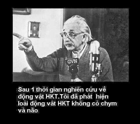 Hình Ảnh Hài Hước New Chapter 24 trang 14