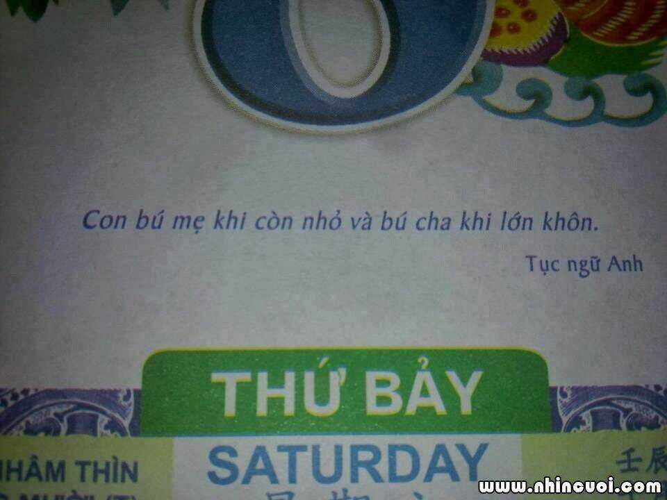 Hình Ảnh Hài Hước New Chapter 26 trang 5