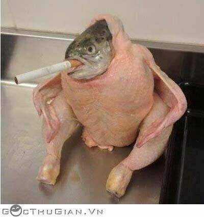 Hình Ảnh Hài Hước New Chapter 27 trang 18