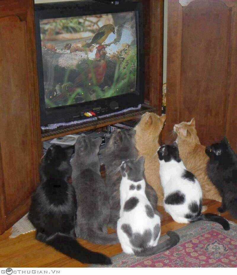 Hình Ảnh Hài Hước New Chapter 27 trang 22