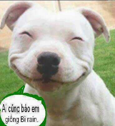 Hình Ảnh Hài Hước New Chapter 27 trang 23