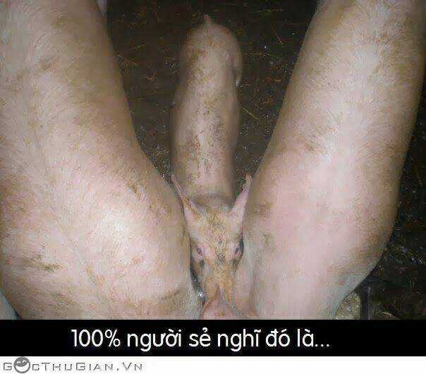 Hình Ảnh Hài Hước New Chapter 27 trang 25