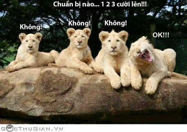 Hình Ảnh Hài Hước New Chapter 27 trang 33