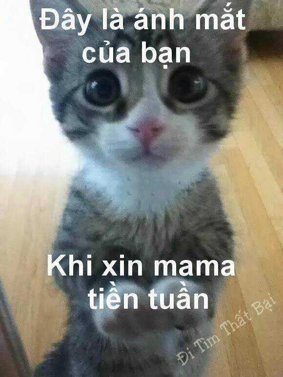 Hình Ảnh Hài Hước New Chapter 27 trang 8