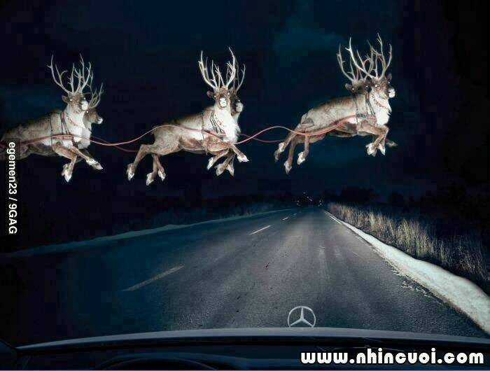 Hình Ảnh Hài Hước New Chapter 28 trang 23