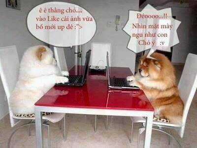 Hình Ảnh Hài Hước New Chapter 29 trang 4