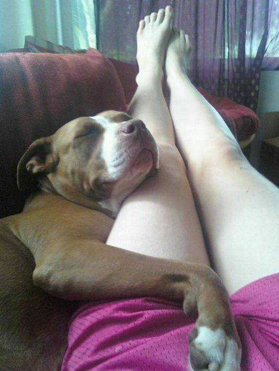 Hình Ảnh Hài Hước New Chapter 3 trang 20