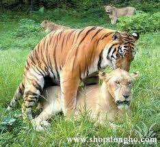 Hình Ảnh Hài Hước New Chapter 3 trang 9