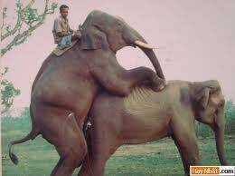 Hình Ảnh Hài Hước New Chapter 4 trang 14