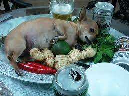 Hình Ảnh Hài Hước New Chapter 4 trang 18