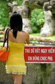 Hình Ảnh Hài Hước New Chapter 4 trang 2