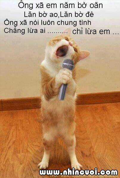 Hình Ảnh Hài Hước New Chapter 5 trang 13