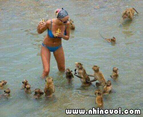 Hình Ảnh Hài Hước New Chapter 5 trang 23