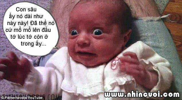 Hình Ảnh Hài Hước New Chapter 5 trang 24