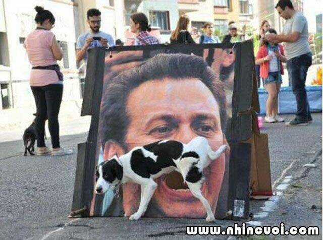 Hình Ảnh Hài Hước New Chapter 6 trang 6