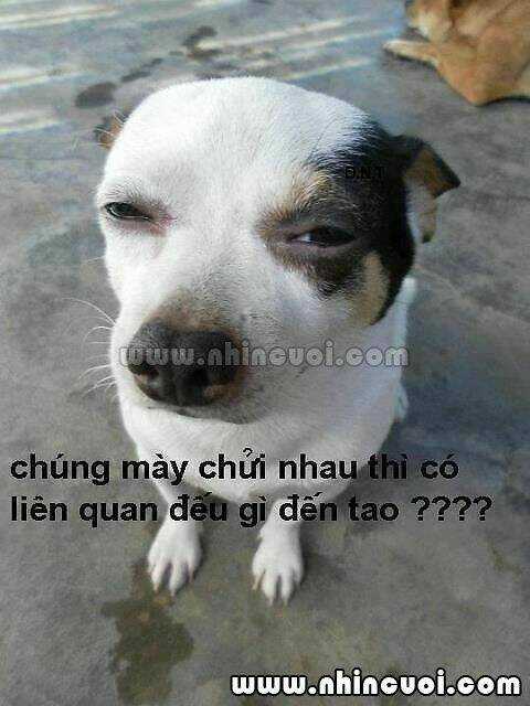 Hình Ảnh Hài Hước New Chapter 7 trang 2