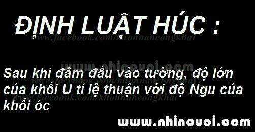 Hình Ảnh Hài Hước New Chapter 7 trang 22