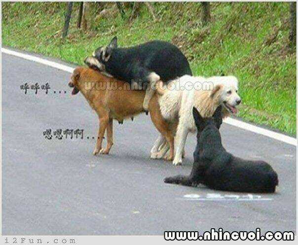 Hình Ảnh Hài Hước New Chapter 8 trang 14