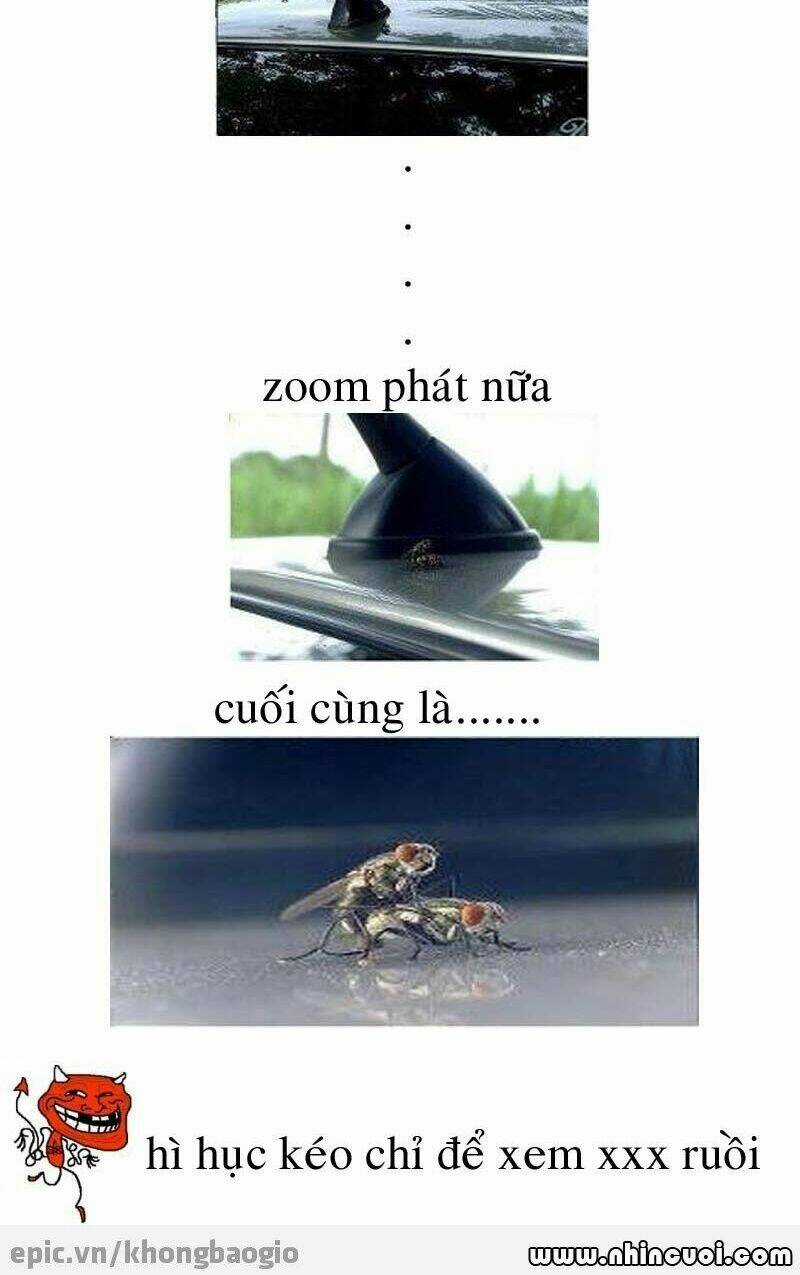 Hình Ảnh Hài Hước New Chapter 8 trang 21