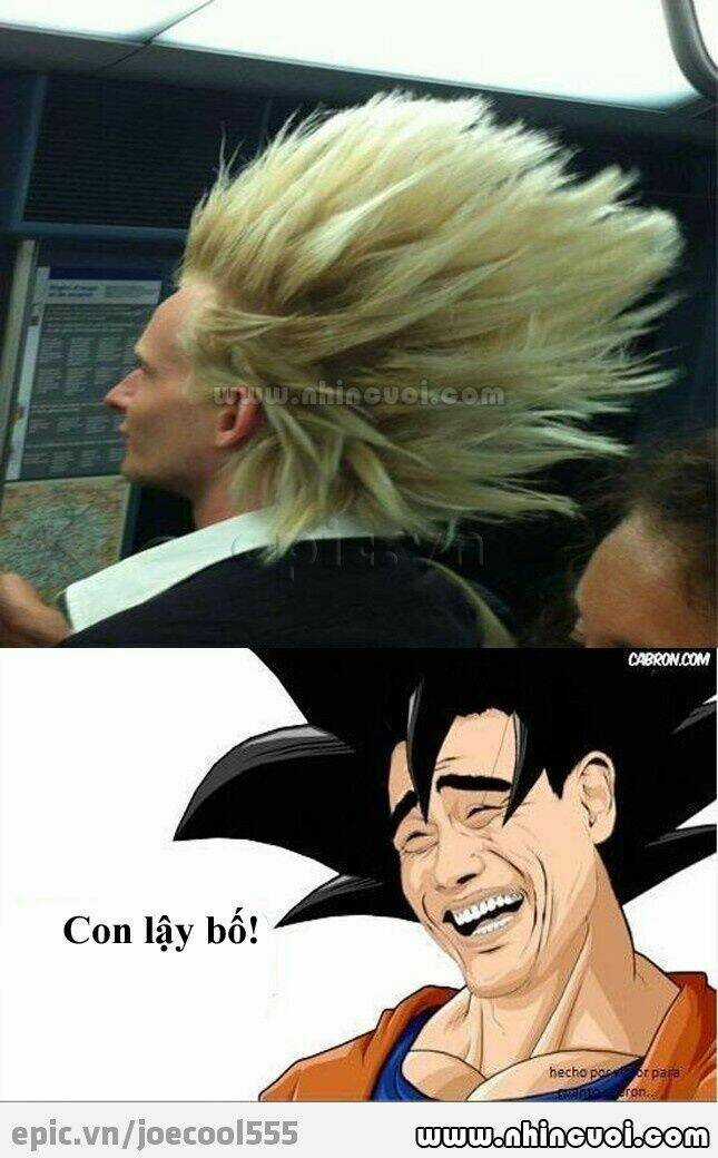 Hình Ảnh Hài Hước New Chapter 8 trang 22