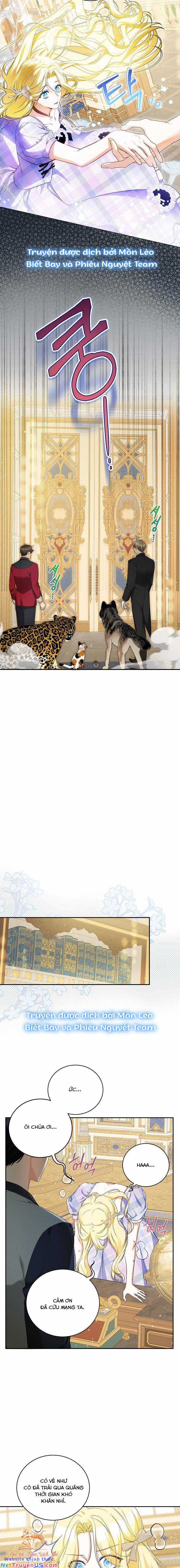 Hình Như Tôi Đã Xuyên Vào Cuốn Tiểu Thuyết Nào Đó Chapter 17 trang 12