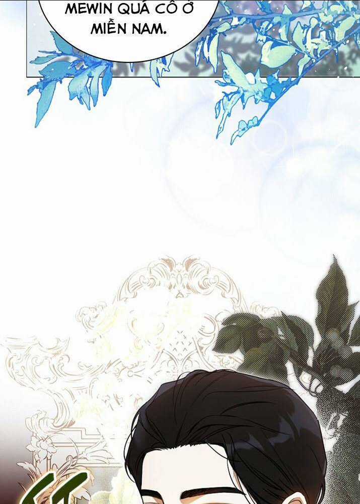 Hình Như Tôi Đã Xuyên Vào Cuốn Tiểu Thuyết Nào Đó Chapter 2 trang 27