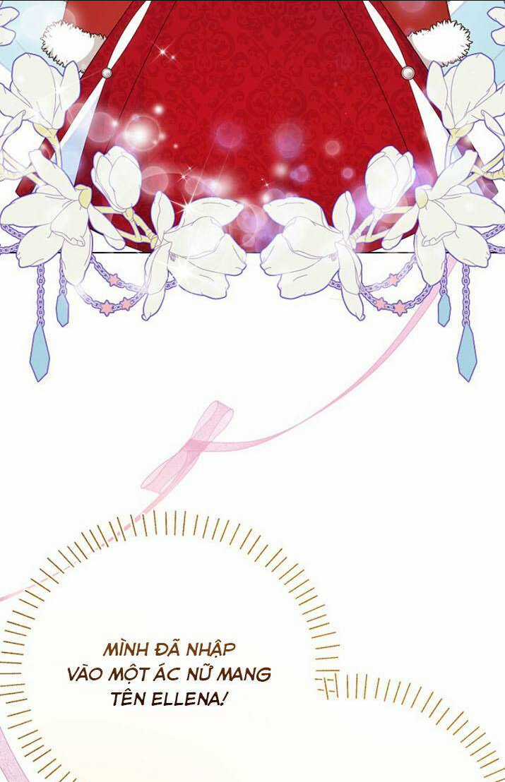 Hình Như Tôi Đã Xuyên Vào Cuốn Tiểu Thuyết Nào Đó Chapter 2 trang 51