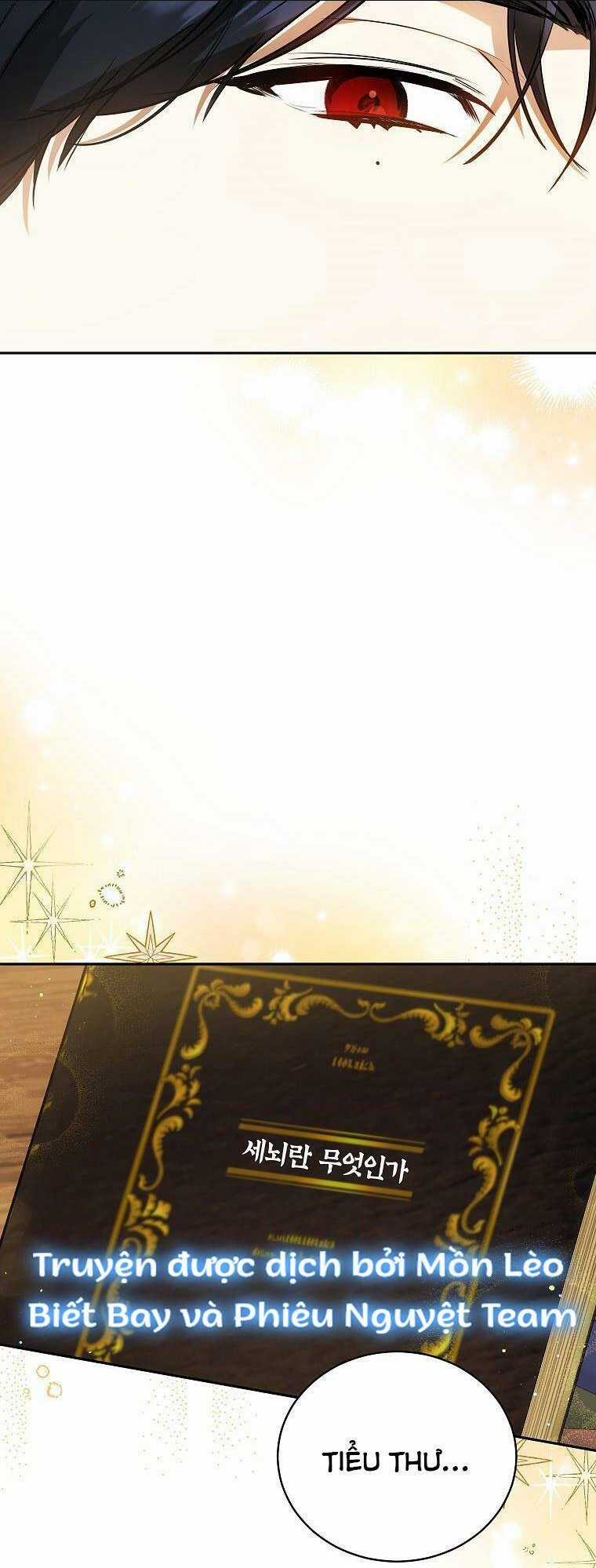 Hình Như Tôi Đã Xuyên Vào Cuốn Tiểu Thuyết Nào Đó Chapter 20 trang 17