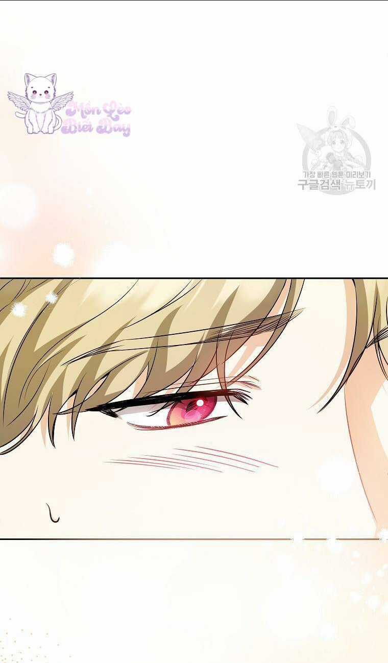 Hình Như Tôi Đã Xuyên Vào Cuốn Tiểu Thuyết Nào Đó Chapter 24 trang 25