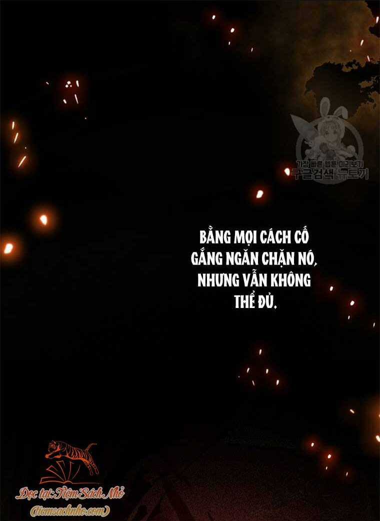 Hình Như Tôi Đã Xuyên Vào Cuốn Tiểu Thuyết Nào Đó Chapter 25 trang 12