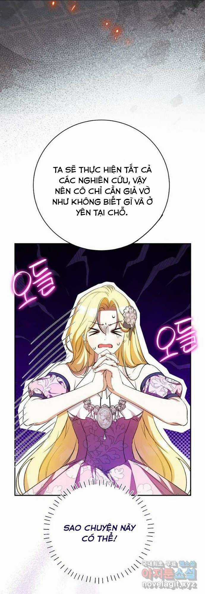 Hình Như Tôi Đã Xuyên Vào Cuốn Tiểu Thuyết Nào Đó Chapter 28 trang 13