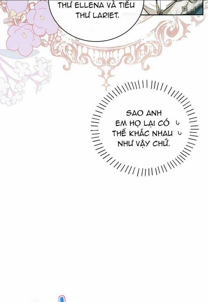 Hình Như Tôi Đã Xuyên Vào Cuốn Tiểu Thuyết Nào Đó Chapter 7 trang 42