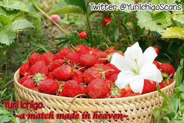 Hino-San No Baka Chapter 12 trang 13