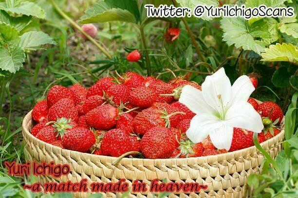 Hino-San No Baka Chapter 4 trang 12